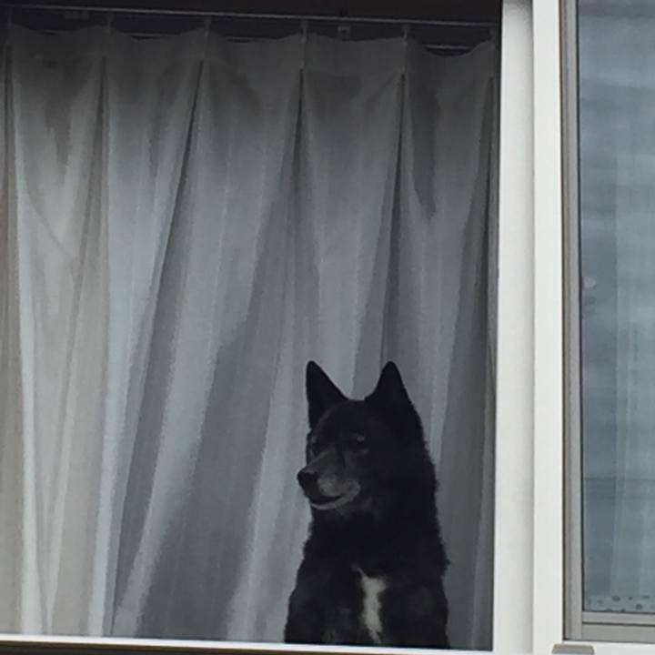 50ba27fc 9fbc 4646 9e08 a9599b9a5409