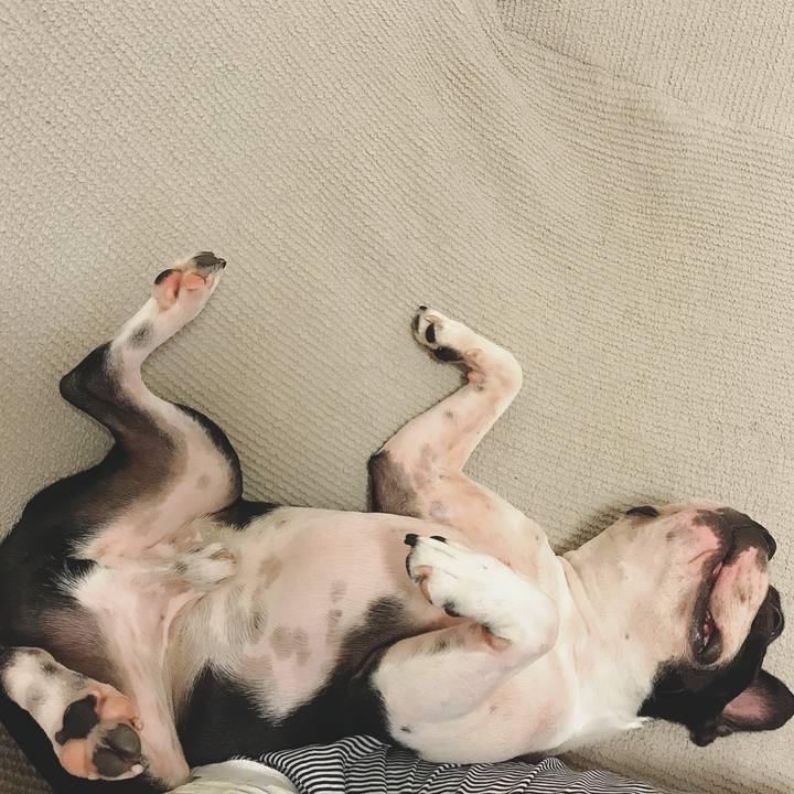 50ba8037 ee87 4543 97e2 060c7ba8e6e0