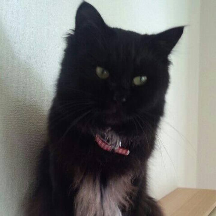 50bada9a 1f1e 4a28 9d2d 39529af1c761