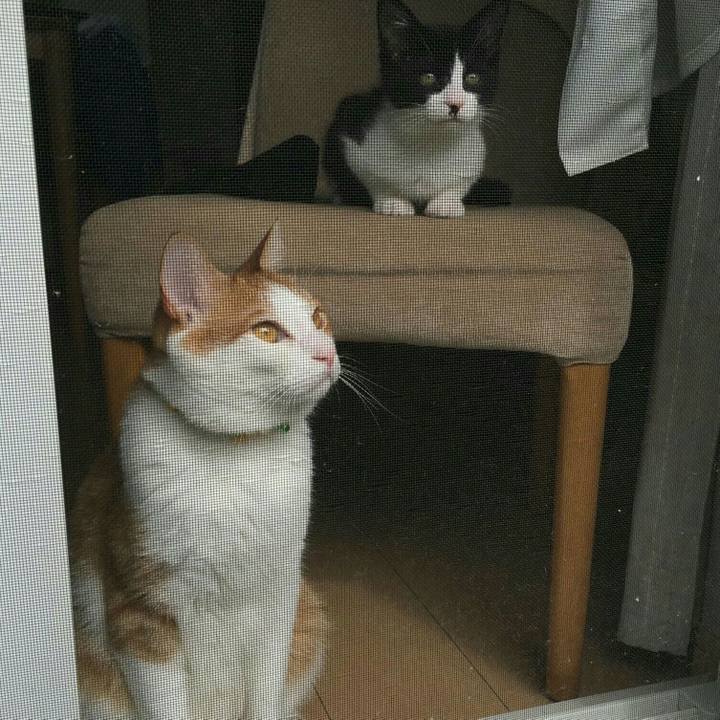 50bb2374 fbfb 406b 9c13 26add674c61f