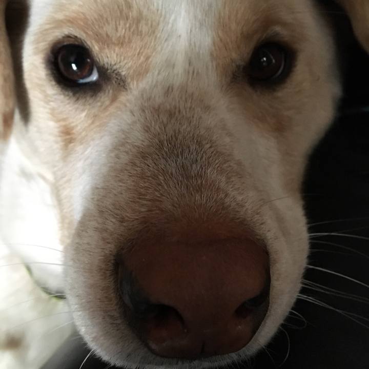 50bb2477 f634 4c6c b4ff 5408aef9ae80