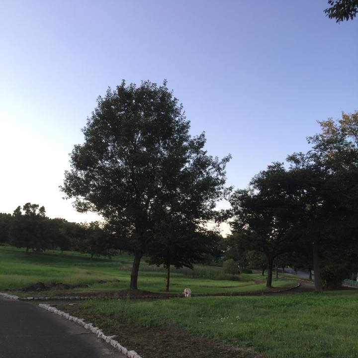 50bb4f66 5481 43e8 8f61 770c8b34b143