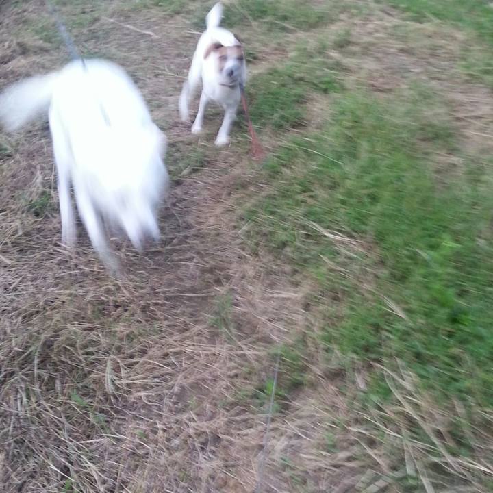 50bb629c 86ac 47c4 8545 b39feaac43df