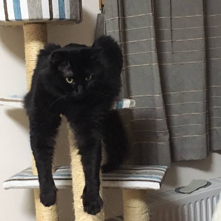 50bb6640 38b4 4c50 b575 79d6f3ac4cf8