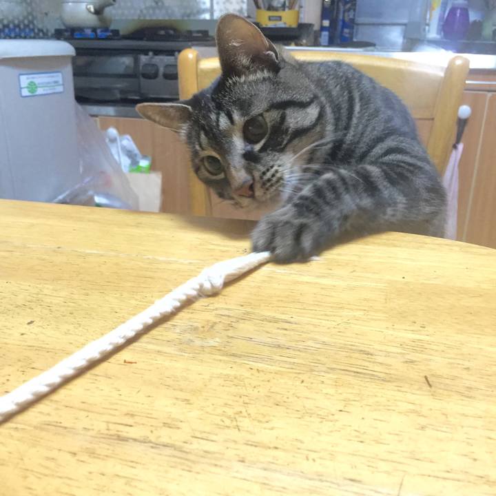 50bba71b d933 4e18 8180 3386dd8511a5