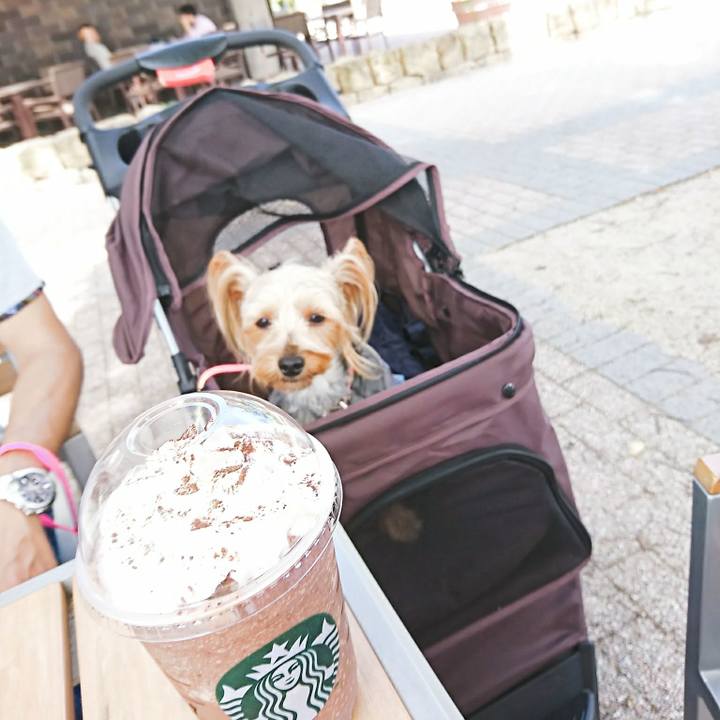 50bc51ab ba86 4aef 824e 6c782b0a1925