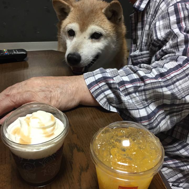 50bc7a65 c1ec 4f0e 856e d41ae2ca731a