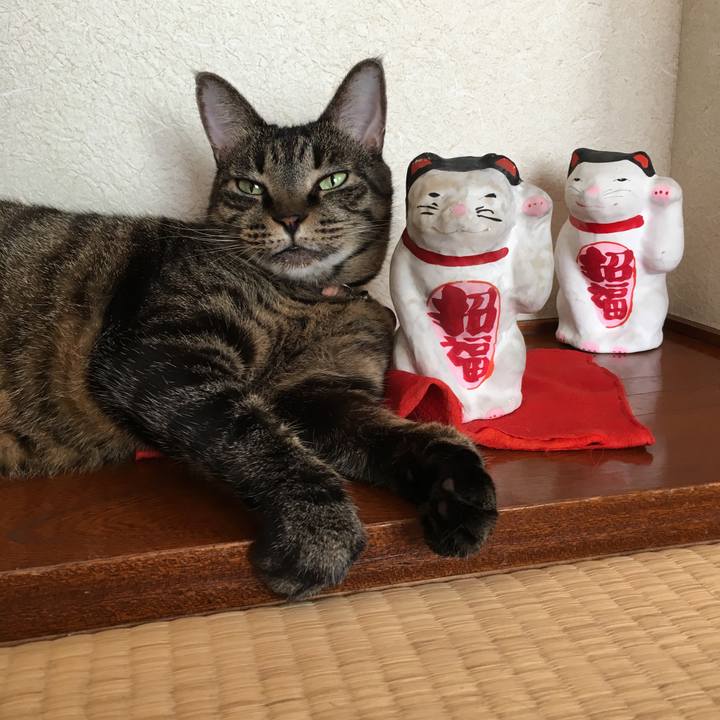 50bccda4 1ec1 4396 b77a 11d4ebd58da2