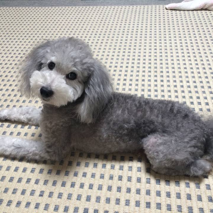 50bd86e1 5990 4246 bd08 e2a294578d2d