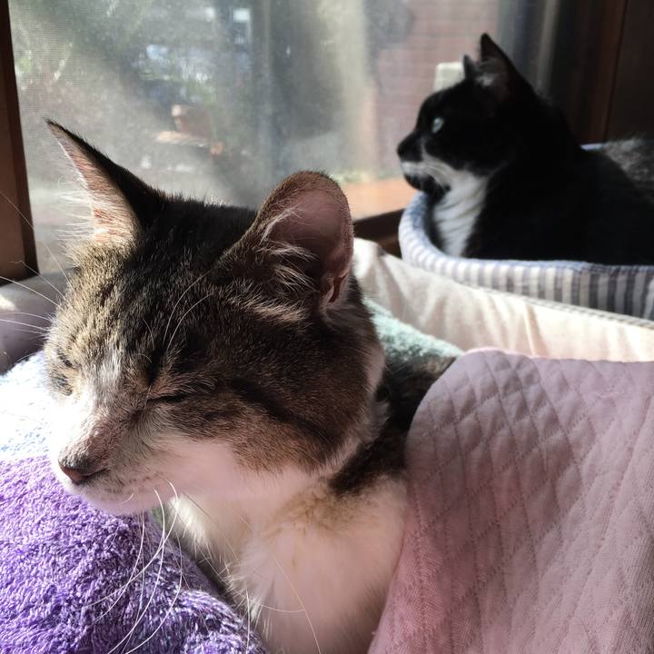 50bd8727 bb97 40b0 b552 82c5b4ef00c2