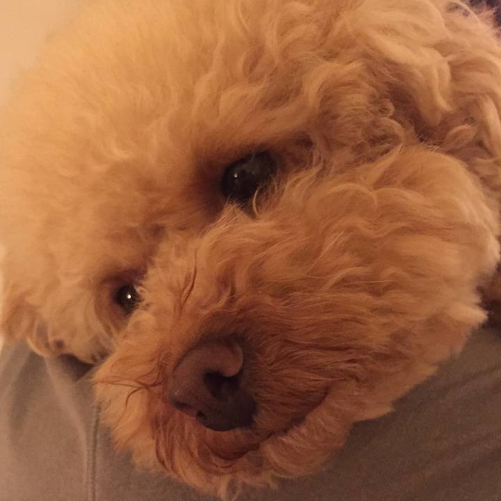 50bddf37 097e 4796 a53c a6d695060873