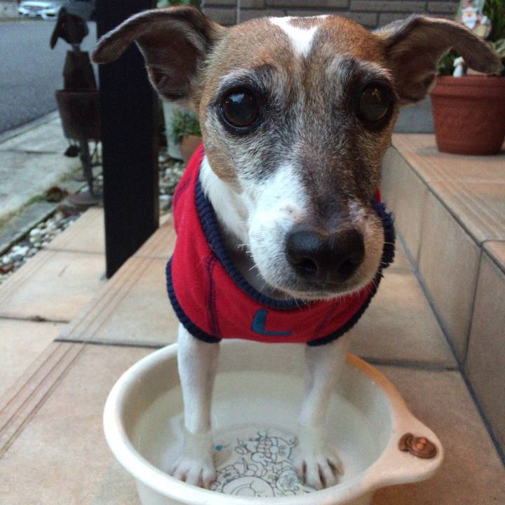 50bea0fe c39e 4e22 8c9f ed82f5aac0fe