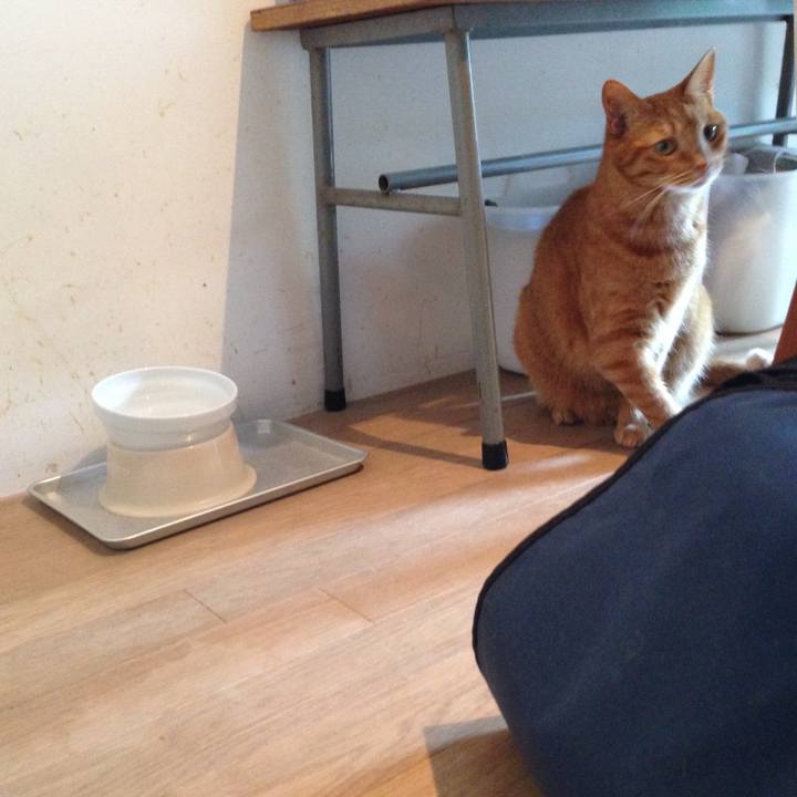 50bed30a ff57 43ab 96f1 1456421b356c