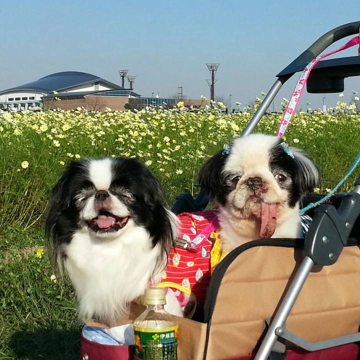 50beec6d c598 4843 b9b5 7462245690ed