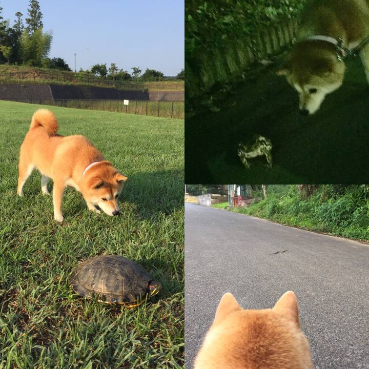 50bf0182 f438 4a9f 9bc6 5c36d999591f