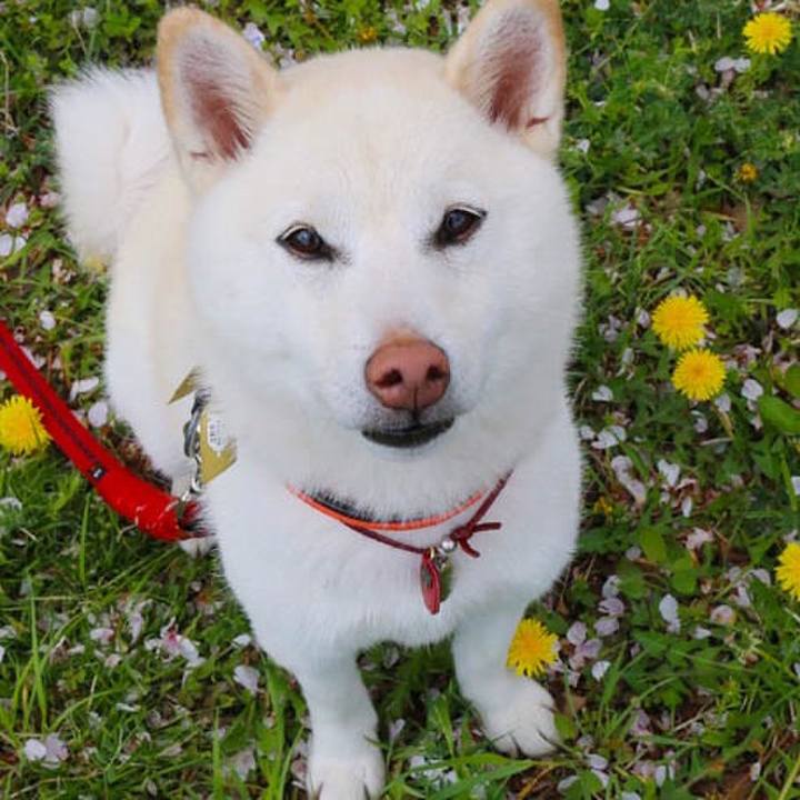 50bf0b73 ea55 45d3 9df3 b274f7caaebd