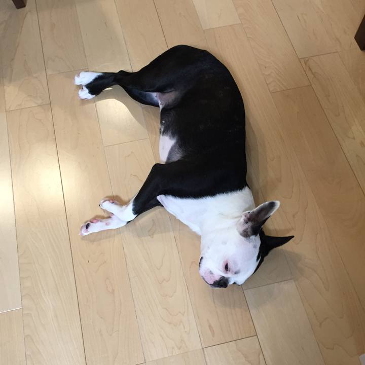 50bfab62 7ee5 4320 be98 0d758ead61e7