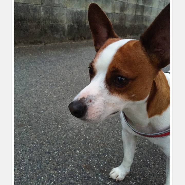 50bfaf4d 6684 4741 ad22 99bc3a6e2fa0