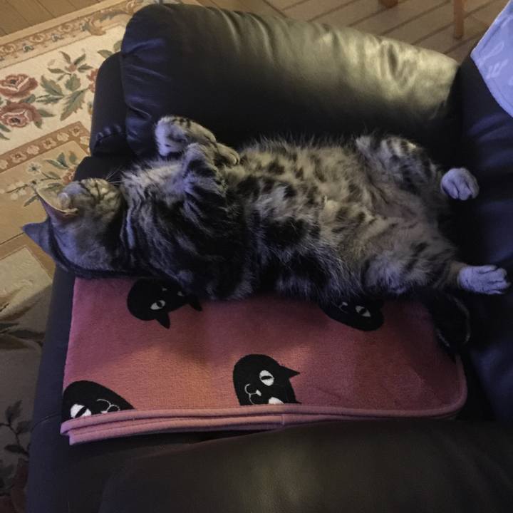 50c00e34 56a1 48d2 8bde a5f158d93a02