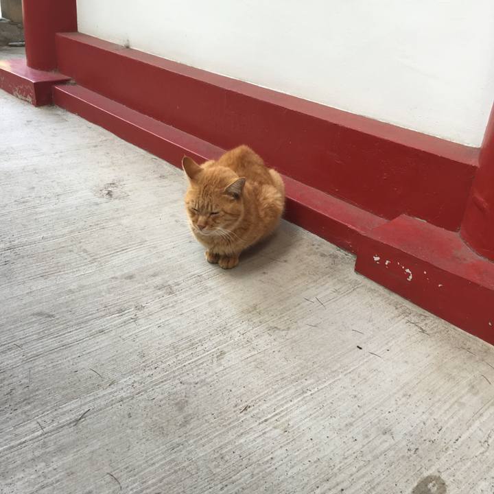 50c01204 f6f7 44e0 a14b d381194cc7d6