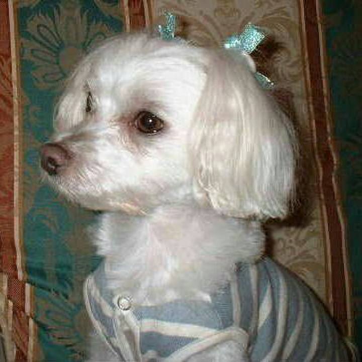 50c03e09 2ec3 44ab bfd0 e7337d5860ec