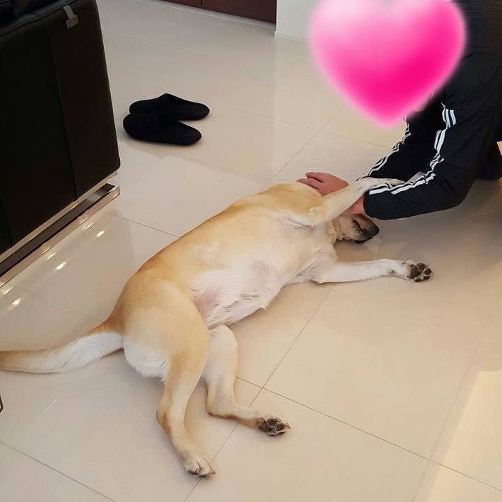 50c0aa74 8170 4f3a a638 1c0759d24026