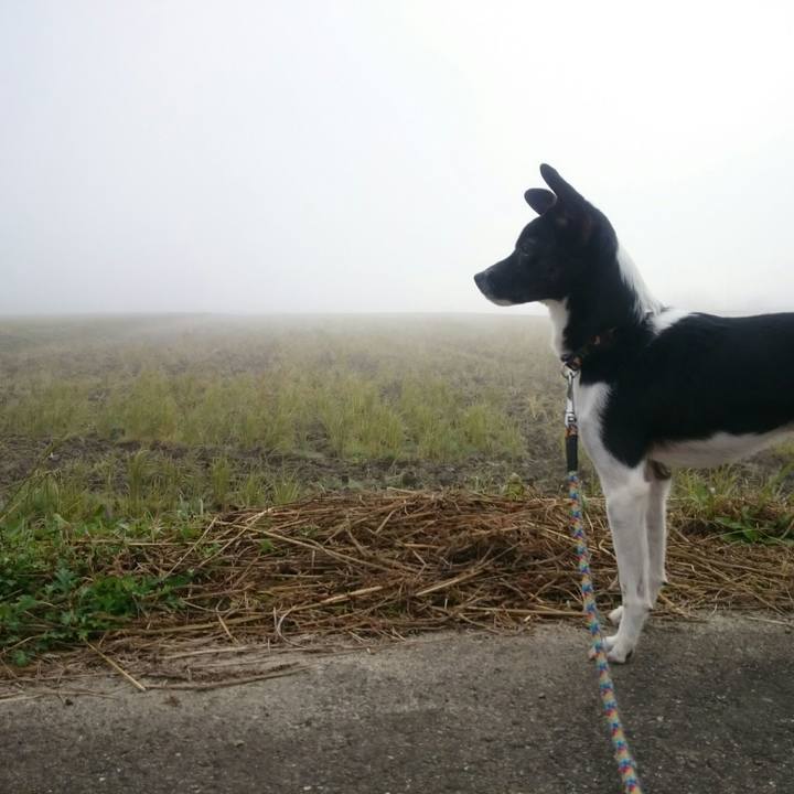 50c13014 e21b 4df2 98ec cb3b957bae9c