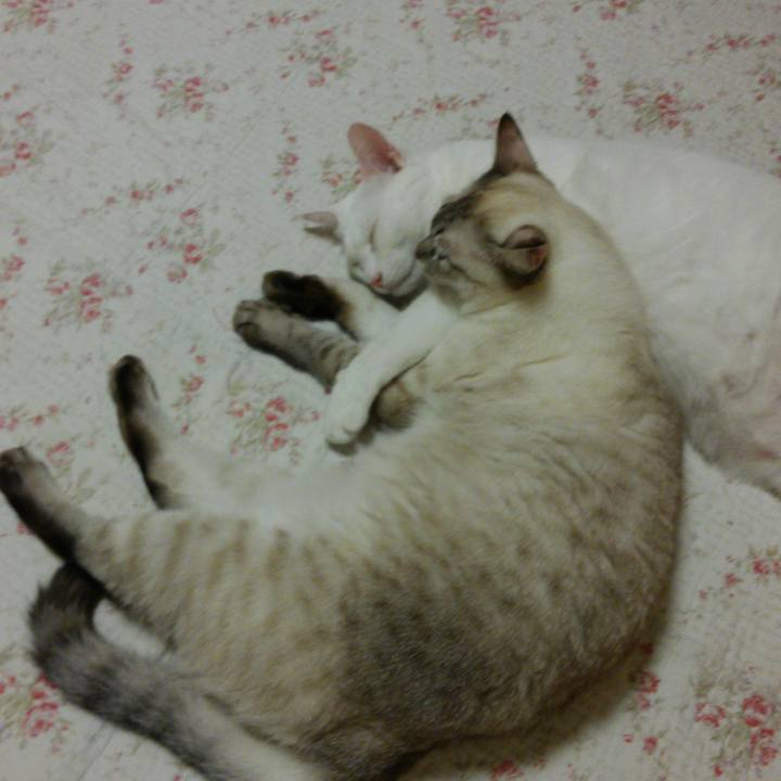 50c19ebd 3b77 4b80 8aec 235d58d120db