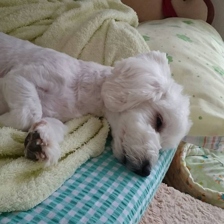 50c20ecf 3712 42ef beda 0c87b9494f4c