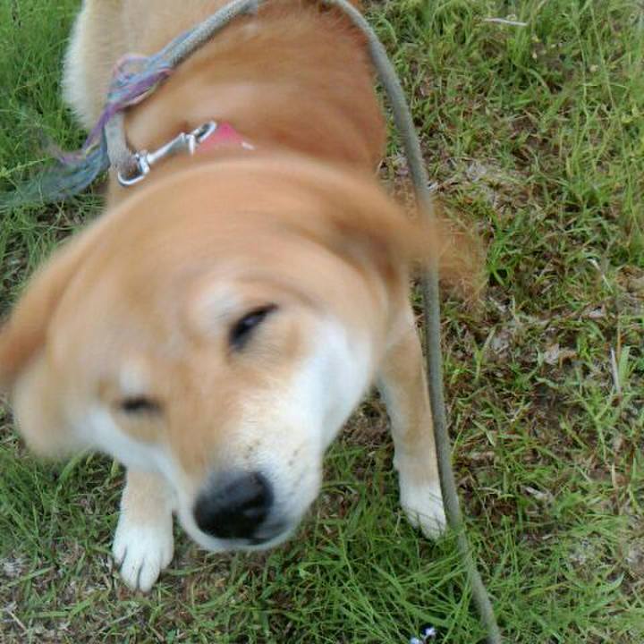 50c283f4 4ebc 42ab 9ab4 165a78804029