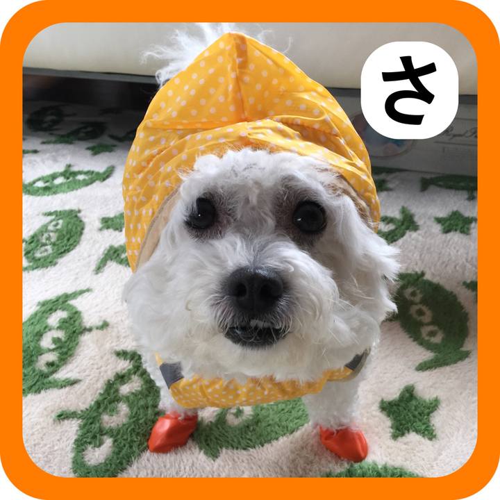 50c2be44 bf7c 4c55 a56c 4d01159a8197