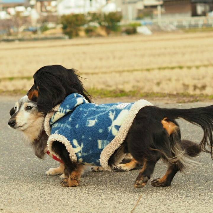 50c2ebca 7171 4d8a a30b 71649fa220b8