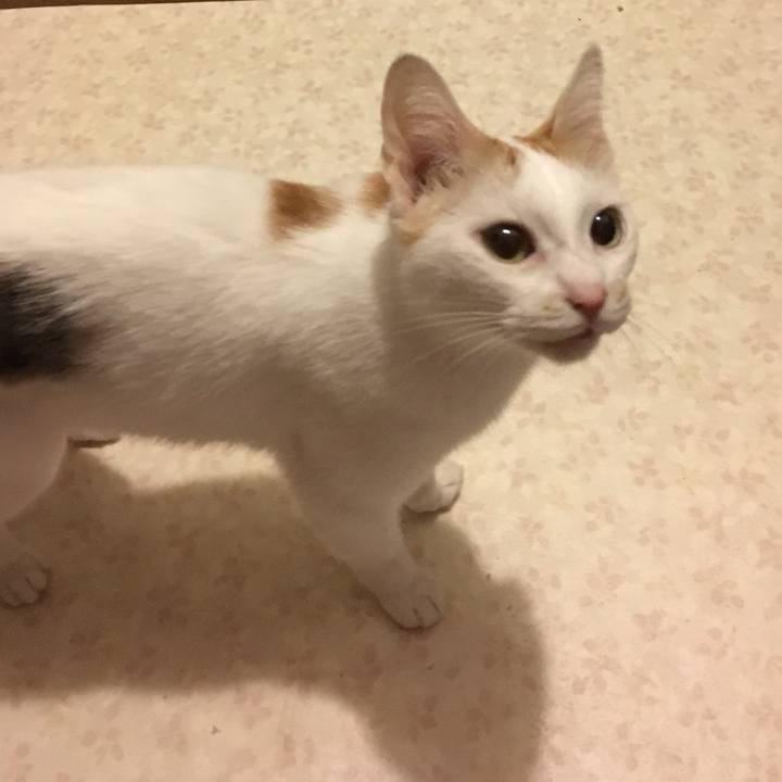 50c34f1a 7073 40d6 9dea a00c6b1e31ec