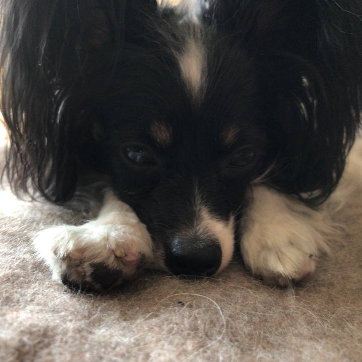 50c382a1 d0cc 4e47 b4be 7ecc1a9d7d0f