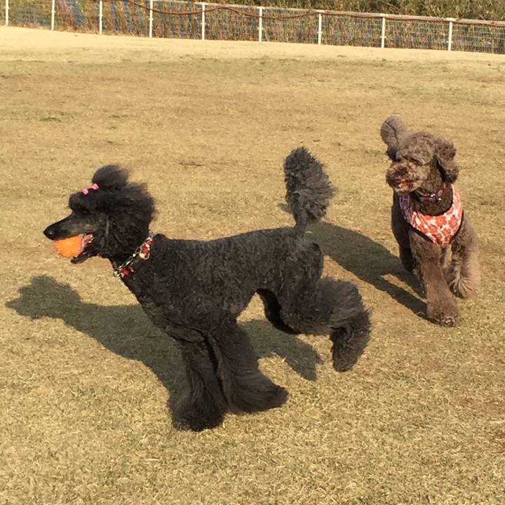 50c38674 f226 4c5d 9d4f 0e356852183e