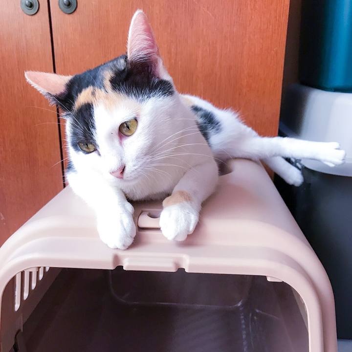 50c3f01d 1a5c 4583 8a09 decf09489a8e