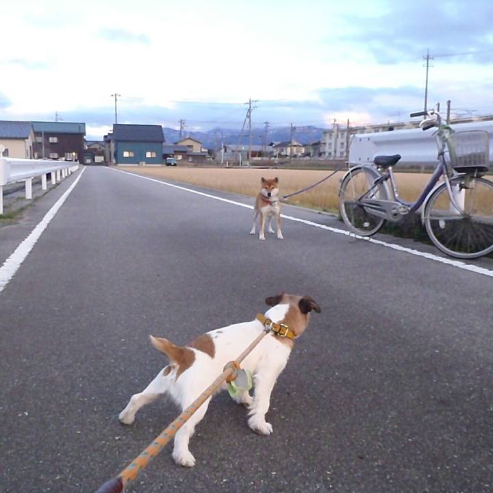 50c4036c bb8b 4603 8d15 c57ab6637fdd