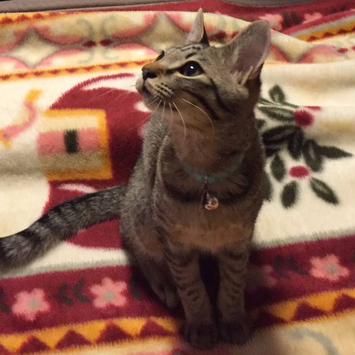 50c42eeb 4b07 4b3c 8ece 48ecf5969ce5