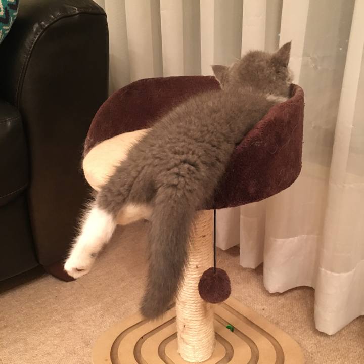 50c45249 4e82 497b bf6b f85336370a76