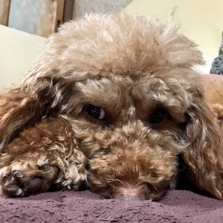 50c470c7 a773 4c58 b3ae d643ca4bd424