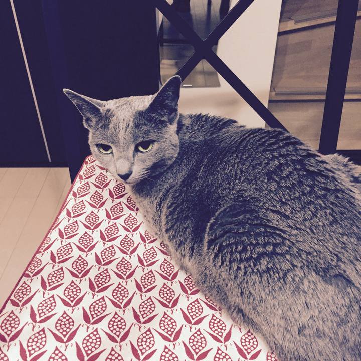 50c47906 7af0 4c42 8a2d 30a83d23fe30