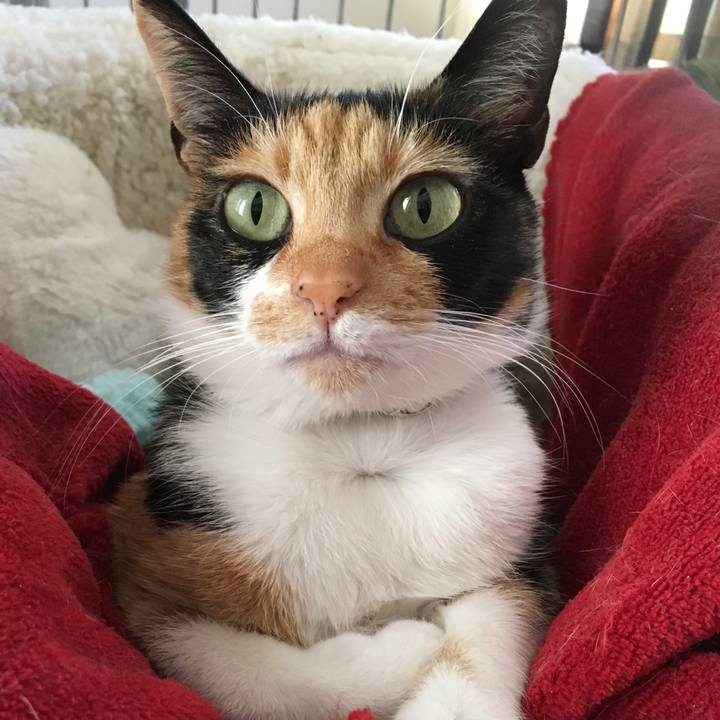 50c53517 7757 4121 84aa dac926e71258