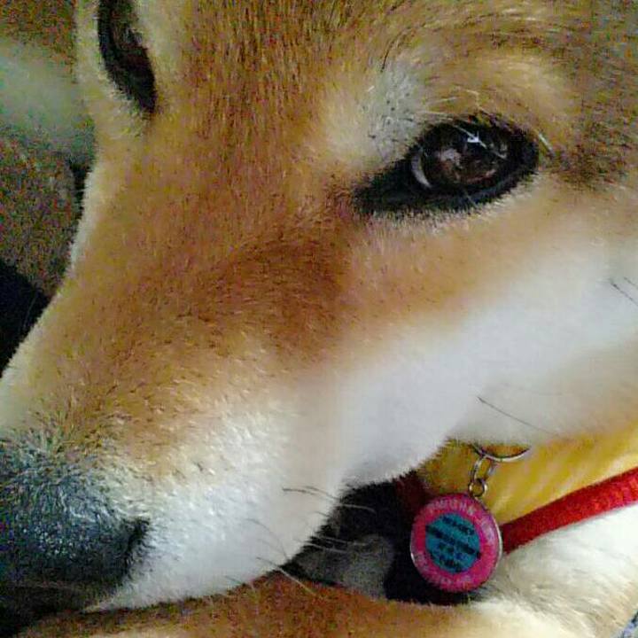 50c5a34a db5e 4047 a466 f9103535b848