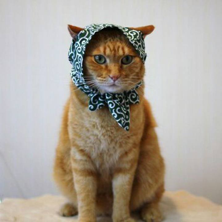 50c5dc04 325d 4296 908c 7176a165bffe