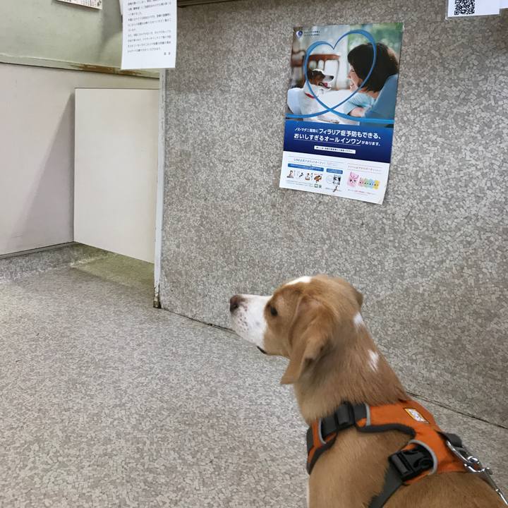 50c5df03 6957 4e19 b477 17de5d83f1fd