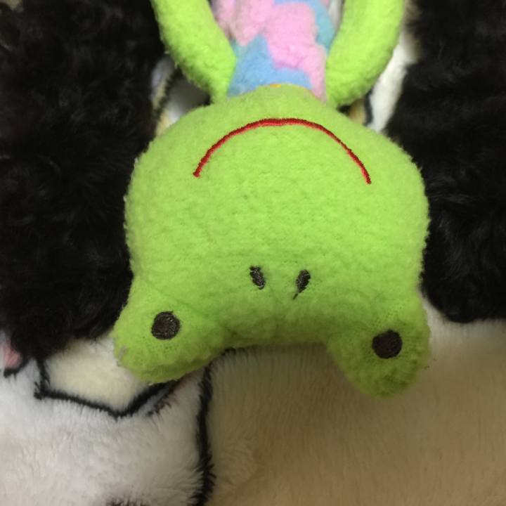 50c5e833 a7a3 41d4 b798 fc242c2e82ed