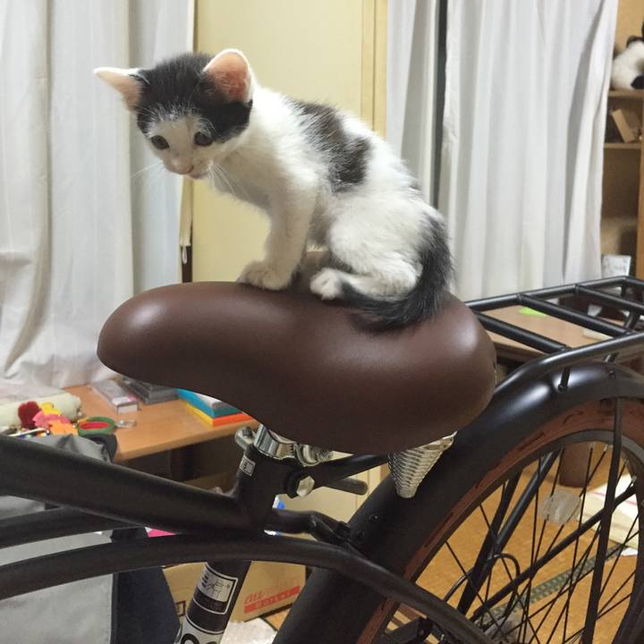 50c64617 1741 494f b7aa 2a64f76865a8