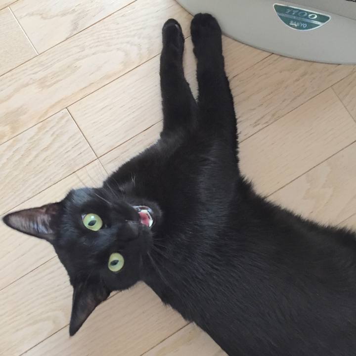 50c69999 424d 40d7 9d4a 0f940f4b94c7