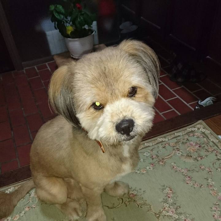 50c72d29 7d89 409e b683 802de073fdaf