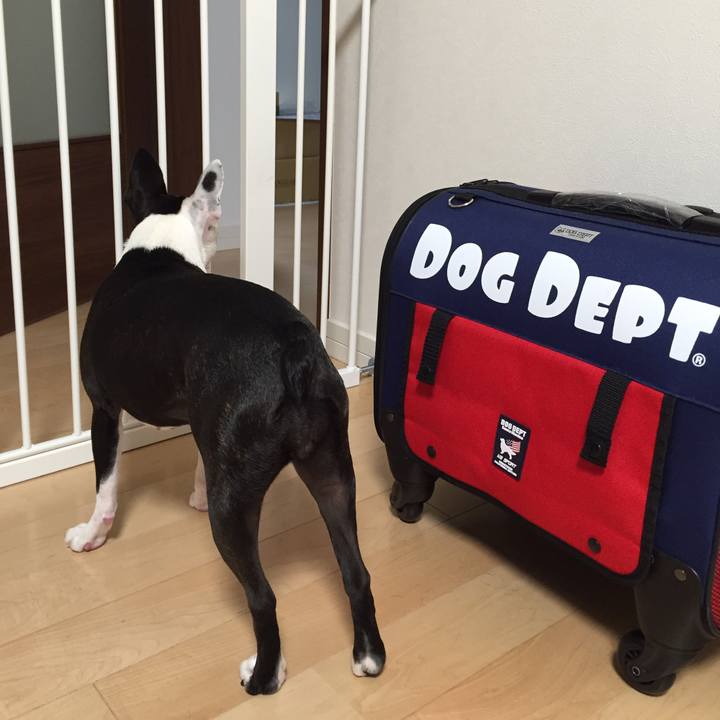 50c75c69 d171 47f7 9b40 3278812cf6f7